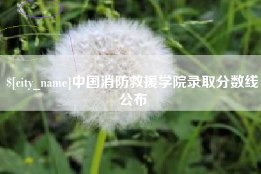 黑龙江中国消防救援学院录取分数线公布