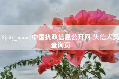 黑龙江中国执政信息公开网-失信人员查询页