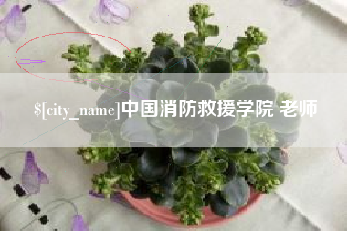 黑龙江中国消防救援学院 老师