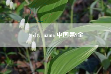 黑龙江中国第9金