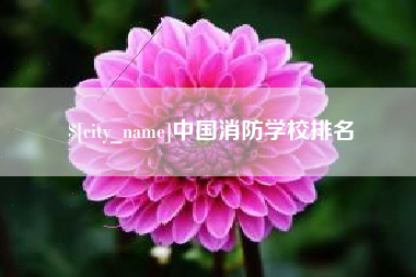 黑龙江中国消防学校排名