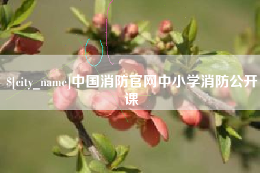 黑龙江中国消防官网中小学消防公开课