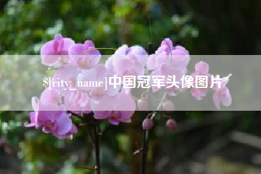 黑龙江中国冠军头像图片