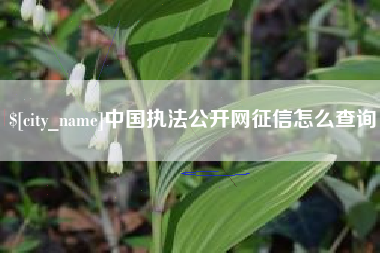 黑龙江中国执法公开网征信怎么查询