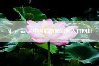 黑龙江中国消防网官网入口网址