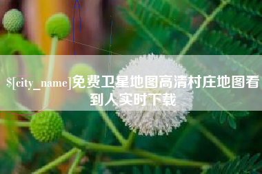 黑龙江免费卫星地图高清村庄地图看到人实时下载