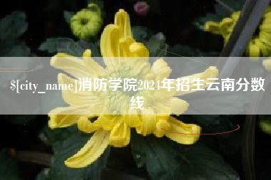 黑龙江消防学院2024年招生云南分数线