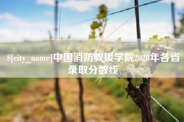 黑龙江中国消防救援学院2020年各省录取分数线
