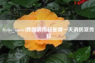 黑龙江我国消防日是哪一天消防宣传日
