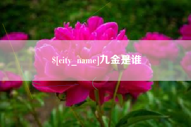 黑龙江九金是谁