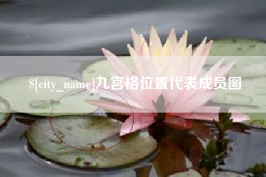 黑龙江九宫格位置代表成员图