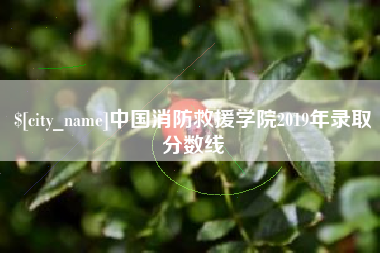 黑龙江中国消防救援学院2019年录取分数线