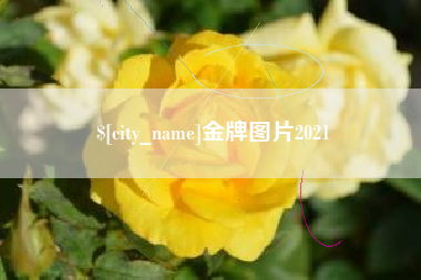 黑龙江金牌图片2021