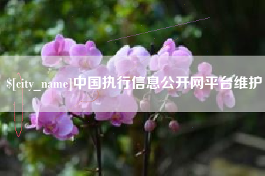 黑龙江中国执行信息公开网平台维护