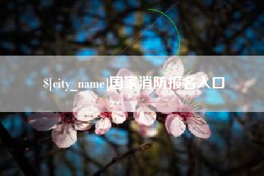 黑龙江国家消防报名入口