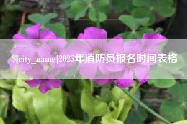 黑龙江2025年消防员报名时间表格