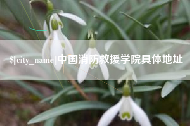 黑龙江中国消防救援学院具体地址