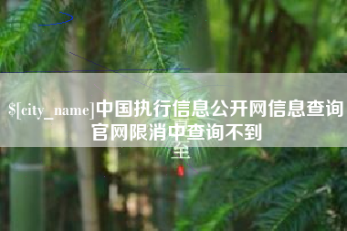 黑龙江中国执行信息公开网信息查询官网限消中查询不到