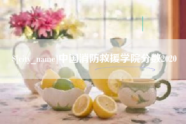 黑龙江中国消防救援学院分数2020