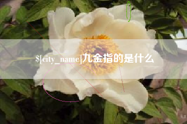 黑龙江九金指的是什么