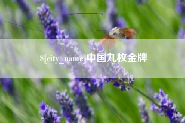 黑龙江中国九枚金牌