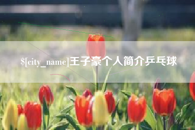 黑龙江王子豪个人简介乒乓球