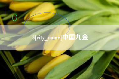 黑龙江中国九金