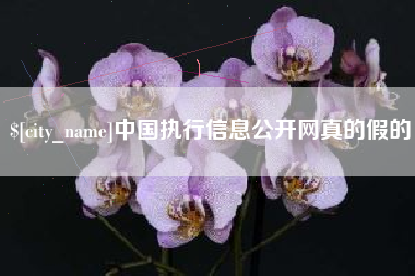 黑龙江中国执行信息公开网真的假的