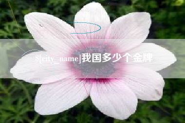 黑龙江我国多少个金牌