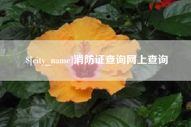 黑龙江消防证查询网上查询