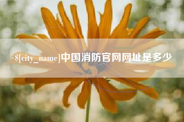 黑龙江中国消防官网网址是多少