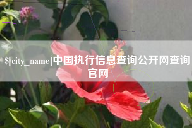 黑龙江中国执行信息查询公开网查询官网