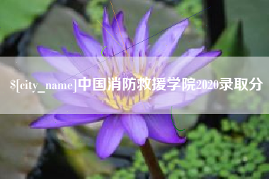 黑龙江中国消防救援学院2020录取分