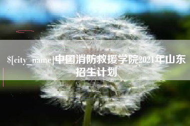 黑龙江中国消防救援学院2021年山东招生计划