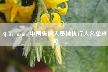 黑龙江中国失信人员被执行人名单查询