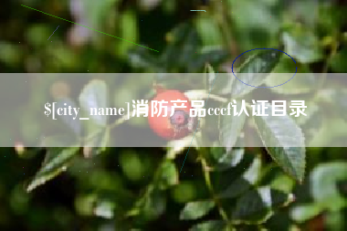 黑龙江消防产品cccf认证目录