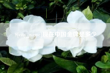 黑龙江现在中国金牌是多少