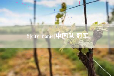 黑龙江中国队 冠军