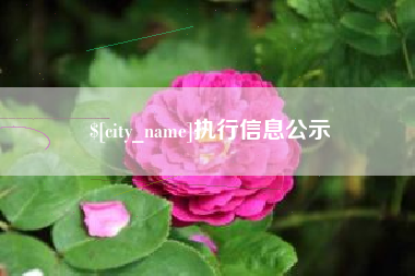 黑龙江执行信息公示