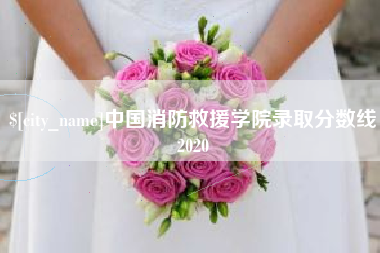 黑龙江中国消防救援学院录取分数线2020
