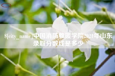 黑龙江中国消防救援学院2021年山东录取分数线是多少