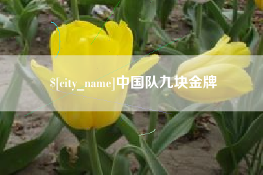 黑龙江中国队九块金牌