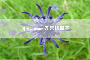 黑龙江九宫格盘子