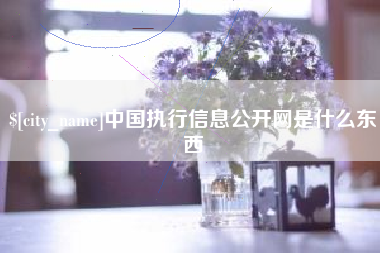 黑龙江中国执行信息公开网是什么东西