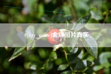 黑龙江金牌图片真实