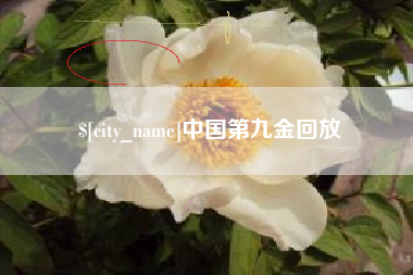 黑龙江中国第九金回放
