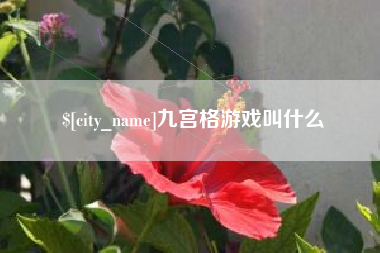 黑龙江九宫格游戏叫什么