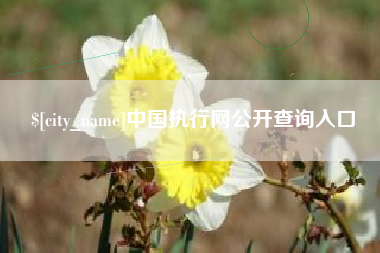 黑龙江中国执行网公开查询入口