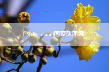 黑龙江国家队图案
