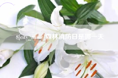 黑龙江森林消防日是哪一天